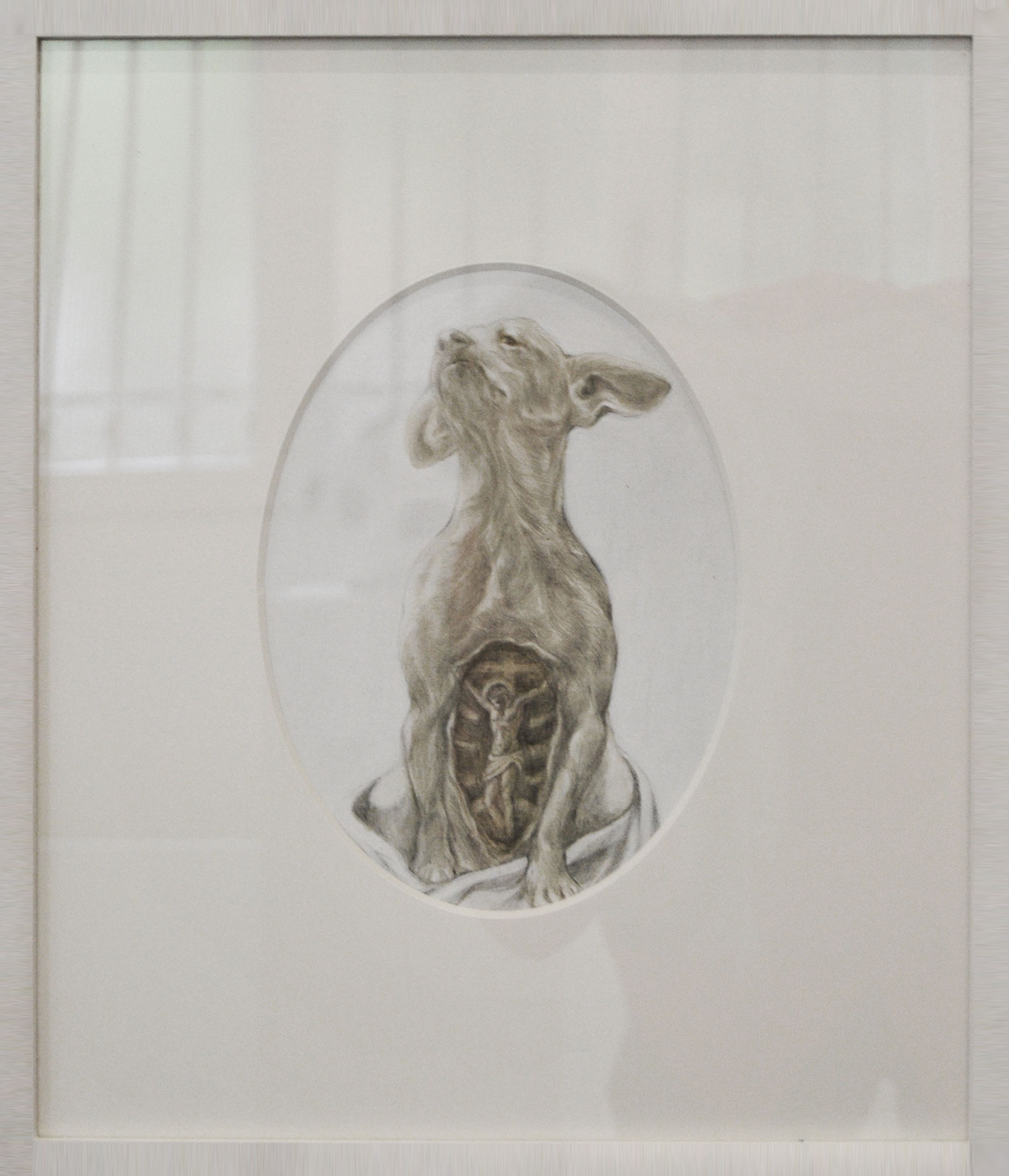 Cornelia Badelita, Anatomy of a dog, 2014, cm 31 x 35,5, punta d'argento su tela