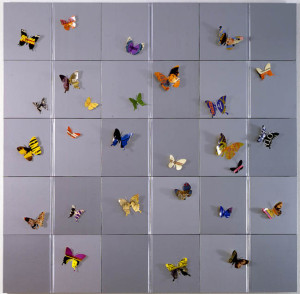 Peter Wüthrich, Uncovered Stories I, 2009, cm 140 x 142 x 10, libri e copertine ritagliate