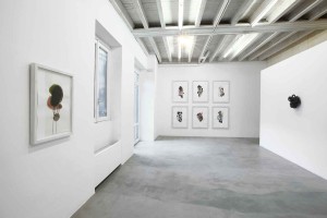 Installation view