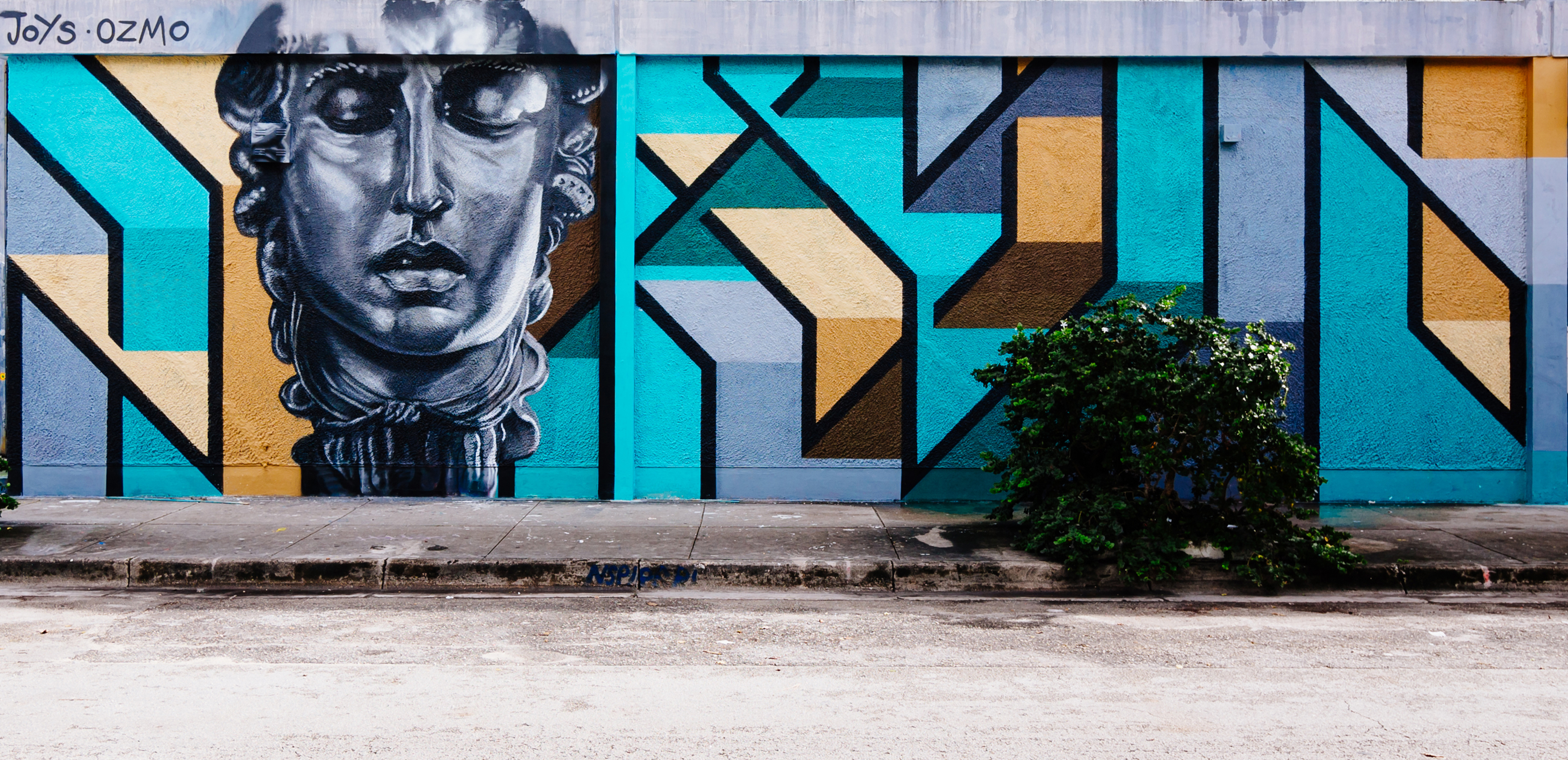 Joys Ozmo - Wynwood walls, Miami (USA)