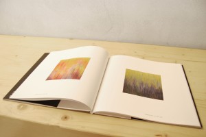 Joan Salo - Nunc Stans