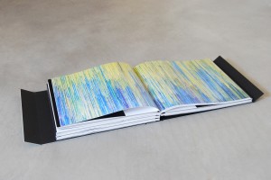 MCAC Annual Edition